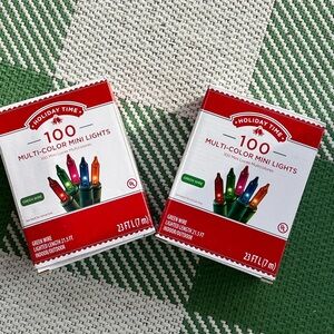 Holiday Time Festive Multi-Color Mini LED Lights set of two.